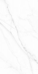 PORCELANATO EMB PETERHOF LUX (70651) (62*121) 2.26 MT