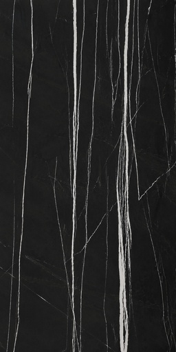 PORCELANATO TREN  ZEBRA BLACK HG C1  (60*120) 1.44 M2 (68CJ*P)