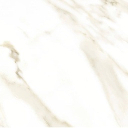CERAMICA EMB BIANCO ORO C1 (60002) (60*60) 2.88 MT