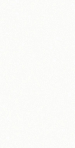 CERAMICA CECAFI BRANCO NEVE PO (36*73) 2.10 M2