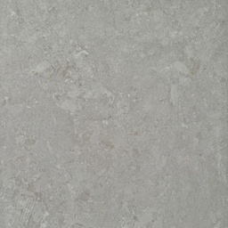 PORC TREN DLFG66058 C1 (60*60) 1.44 MT