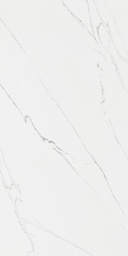 PORCELANATO TREN STATUARIO IRON ORE C1 (60*120) 1.44 M2 (68 Cj*P)