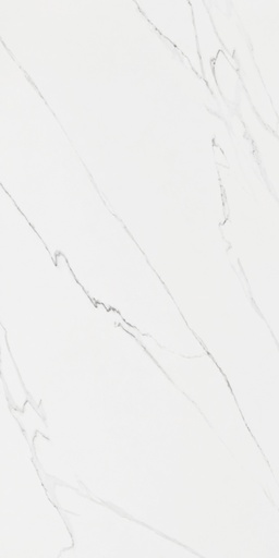 PORCELANATO TREN STATUARIO IRON ORE C1 (60*120) 1.44 M2 (68 Cj*P)