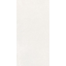 PORCELANATO GRA PLASTER LIGHT GRAY REC (60*120) 2.88MT