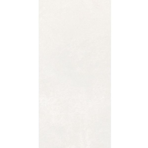 PORCELANATO GRA PLASTER LIGHT GRAY THINR STD (60*120) 2.88MT
