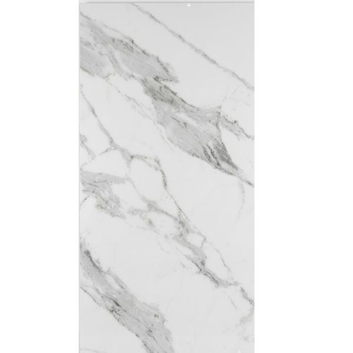 PORC TREN PP143G C1 (60*120) 2.16 M2