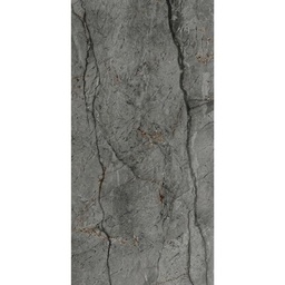 PORC TREN PP625G C1 (60*120) 2.16M2