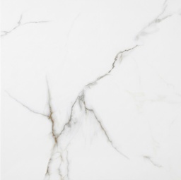 CERAMICA TREN ETCHSJ66001 C1 (60*60) 1.80M2