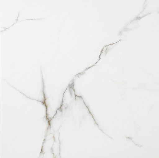 CERAMICA TREN ETCHSJ66001 C1 (60*60) 1.80M2