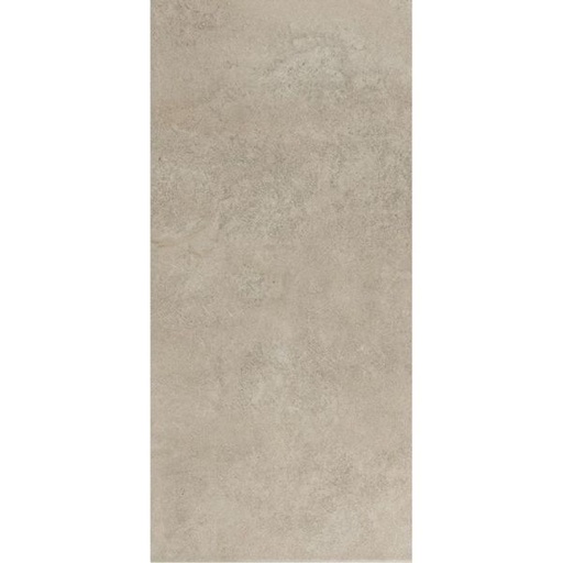 CERAMICA CTF R3161 C1 (31*55) 2.08 M2 (64CSJ*P)