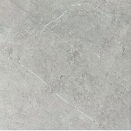 PORCELANATO ECU ALPHA GRIS SEG (60*60) 1.80 M2